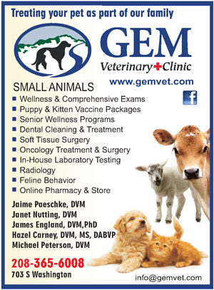 Photo of Gem Veterinary Clinic Photo of Gem Veterinary Clinic