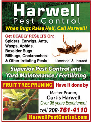 Photo of Harwell Pest Control Photo of Harwell Pest Control