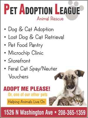 Photo of Pet Adoption League Photo of Pet Adoption League