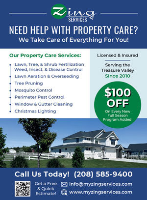 Photo of Zing Services Photo of Zing Services